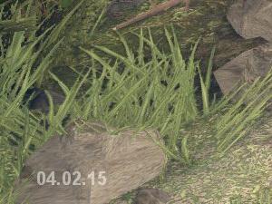 Spintires 04.02.15